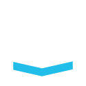 ls-logo-icon